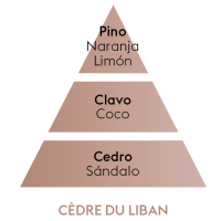 PIRAMIDE OLFATICA CEDRE DU LIBAN MAISON BERGER