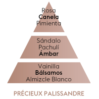 PIRAMIDE OLFATIVA PRECIEUX PALISSANDRE MAISON BERGER