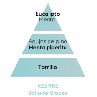 PIRAMIDE OLFATIVA AROMA RESPIRE MAISON BERGER