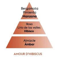 PIRAMIDE OLFATIVA AMOUR HIBISCUS MAISON BERGER
