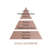 PIRAMIDE OLFATIVA SOUS-L'OLIVERAIE MAISON BERGER