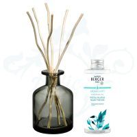 7716 BOUQUET AROMA HAPPY Maison Berger