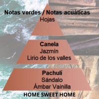 PIRAMIDE OLFATIVA HOME SWEET HOME MAISON BERGER_ANTIC-AROMA