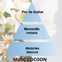 PIRAMIDE-OLFATIVA_MUSC-COCOON_MAISON_BERGER_ANTIC_AROMA