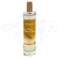 SPRAY DE AMBIENTE THE ET PAIN D'EPICES 75 ML Esteban París