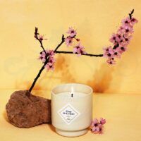 VELA FLEUR DE CERISIER 180 GR My Jolie Candle